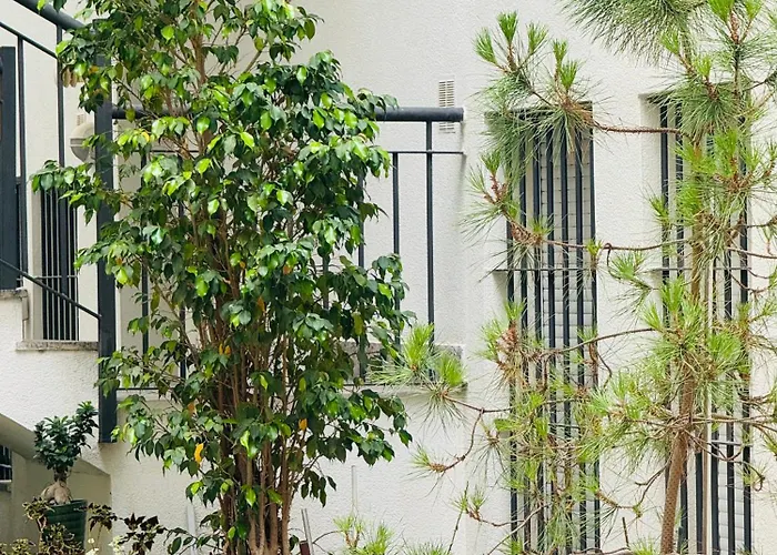 Lejlighed Bonito Junto Al Gran Teatro Falla