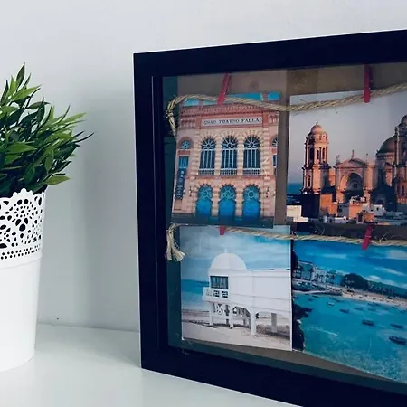 Bonito Junto Al Gran Teatro Falla 公寓